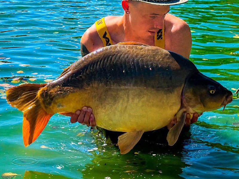 The Parrot — 31lb 6oz