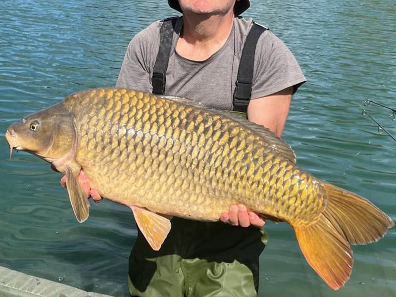 Little Linear — 29lb 10oz